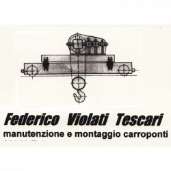 Violati Tescari Federico logo