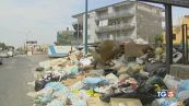 Ecomafie, 900mila reati ai danni dell'ambiente