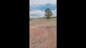 Alluvione a Bahia Blanca: ecco come è ridotto il centro dove è cresciuto Lautaro