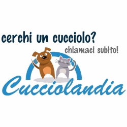 Cucciolandia logo