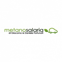 Officina Metano Salaria logo