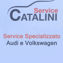 Service Specializzato Audi e Volkswagen logo