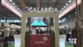 Calabria, enogastronomia e bellezza