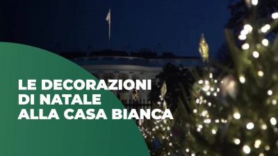 Alberi di Natale da tutti gli Stati Uniti illuminano Washington