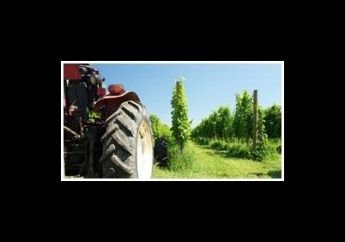 IMPRESA AGROMECCANICA LOCONTE-Lavori Agricoli E Forestali
