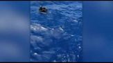 La barca per Gaza con Hassan e Thunberg salva alcuni migranti in mare