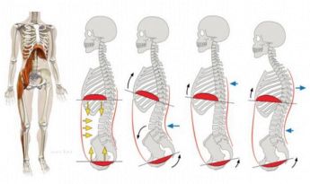 Gabriela Girardi Pilates & Osteopatia Qual'è la tua Postura? Contattami possiamo migliorarla💪