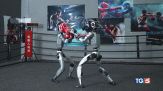 I robot ora sanno anche combattere