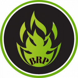 B.R.P. Legno - Fornitore di Pallet e di Pellet logo