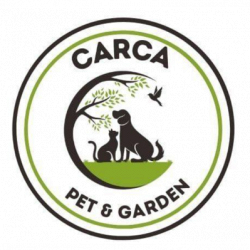 Car.Ca logo