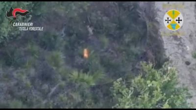 Calabria, appicca il fuoco al bosco ma il drone riprende tutto