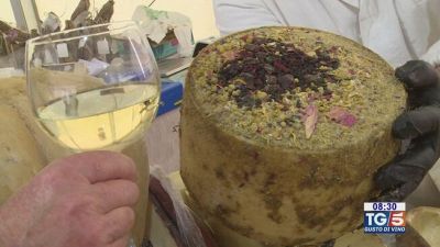 Gusto di Vino: vini e formaggi