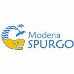 Modena Spurgo