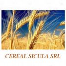 Cereal Sicula