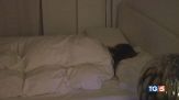 Sonno difficile ma necessario!