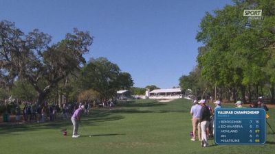 La clamorosa "buca in uno" di Steven Fisk al Valspar Championship