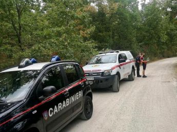 Interventi per arma dei carabinieri