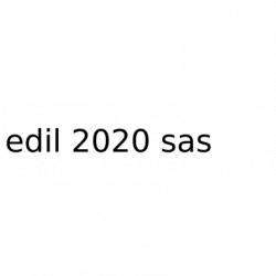 Edil 2020 s.a.s logo