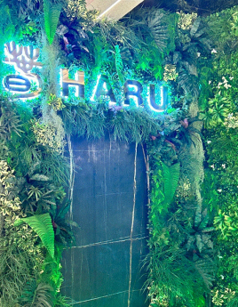 HARU SUSHI