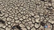 Sfruttamento e siccità Suolo sempre più povero