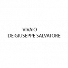 Vivaio - De Giuseppe Salvatore