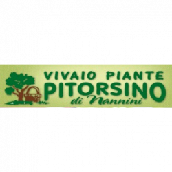 Vivaio Il Pitorsino logo
