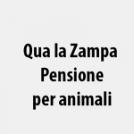 Qua la Zampa Pensione per animali