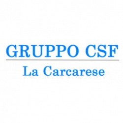 Gruppo Csf - La Carcarese logo