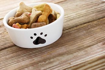EW POWER FOOD Alimenti per cani