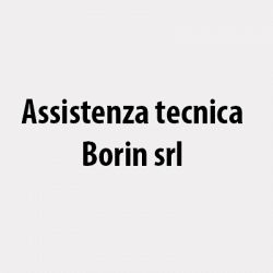 Assistenza Tecnica Borin logo