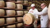 Parmigiano Reggiano, cresce la montagna: oltre il 22% delle forme