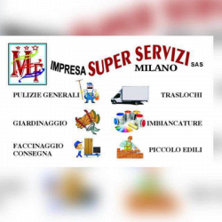 Impresa Super Servizi logo