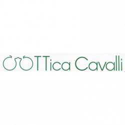 Ottica Cavalli di Carlo Cavalli logo
