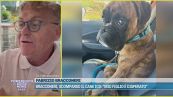 Bracconeri, scomparso il cane Ico: "Mio figlio disperato"