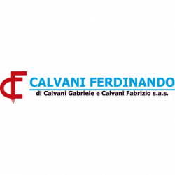Calvani Ferdinando logo
