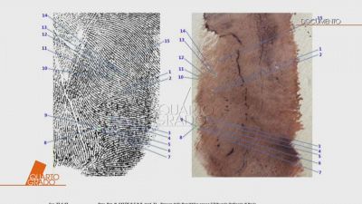 Garlasco: il giallo dell'impronta 33