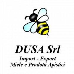 Dusa Srl logo