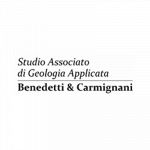 Geologo Andrea Carmignani