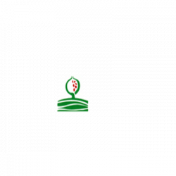 Vivaio Il Melograno logo