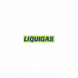 Liquigas Valtellina logo