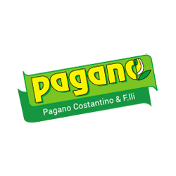 Pagano Costantino logo