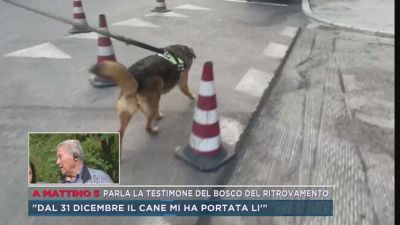 Parla la testimone del bosco del ritrovamento