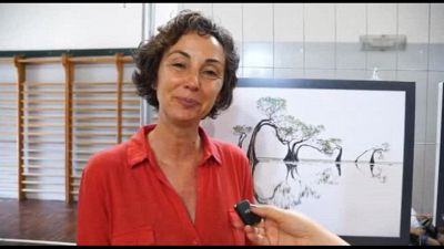 Barbara Dall'Angelo con mangrovie "danzanti" vince il premio Asferico
