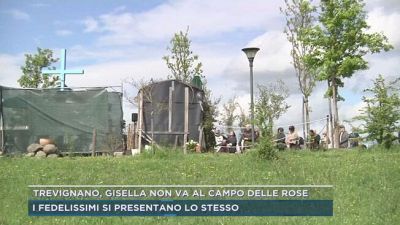 Trevignano, Gisella non va al campo delle rose