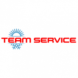 Team Service logo