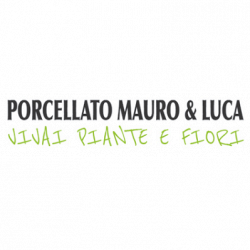 Vivaio Piante e Fiori Porcellato logo