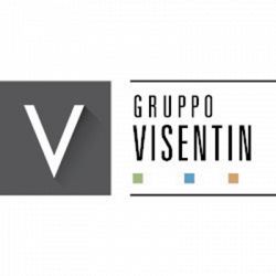 Visentin e Gasparetto Elettroimpianti logo