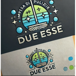 Impresa di Pulizie Due Esse logo