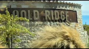 Sogno californiano biologico all'europea (con macchinari italiani)