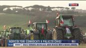 Breaking News delle 16.30 | Agricoltori convocati a Palazzo Chigi